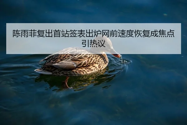 陈雨菲复出首站签表出炉网前速度恢复成焦点引热议